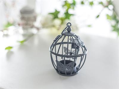 Flutter СВЕЩНИК . Gray