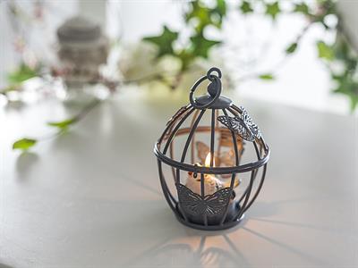 Flutter СВЕЩНИК . Gray