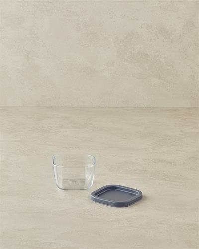 Fresh Safe Кутия За Съхранение Стъкло 270 мл Сив