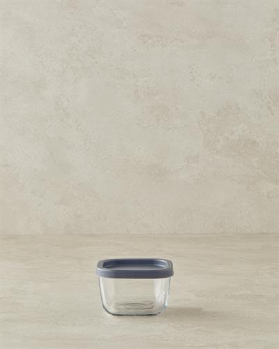 Fresh Safe Кутия За Съхранение Стъкло 270 мл Сив