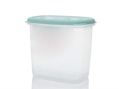 Frey КУТИЯ ЗА СЪХРАНЕНИЕ Вертикално Пластмасов 1000 ml Green