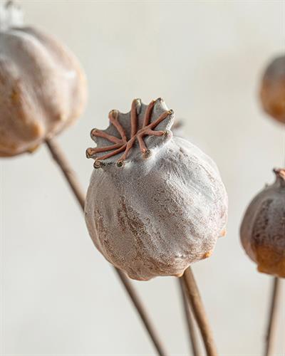 Fruits Изкуствено Цвете Един Стрък Пяна 25 см Виолетов..