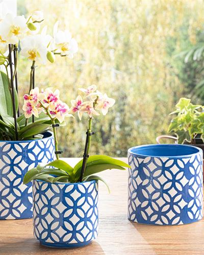 Garden Flowers Саксия Тъмно Синьо, 13.5 X 13.5 X 12.5 Cm