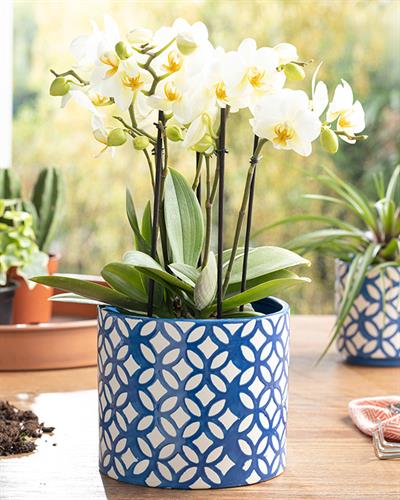 Garden Flowers Саксия Тъмно Синьо, 16.5 X 16.5 X 14.3 Cm