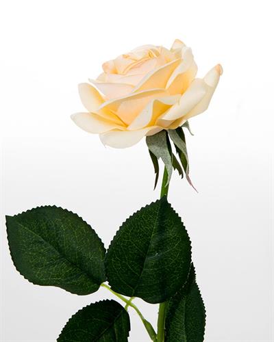 Glam Rose Изкуствено Цвете 42 см Бежов