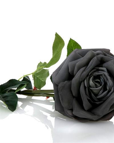 Glam Rose Изкуствено Цвете 75 см Тъмносив