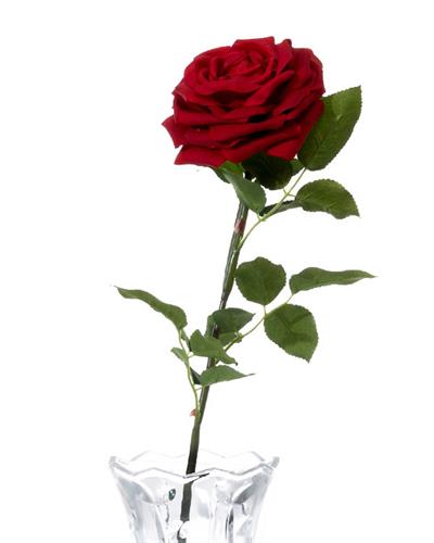 Glam Rose Изкуствено Цвете 75 см Червен