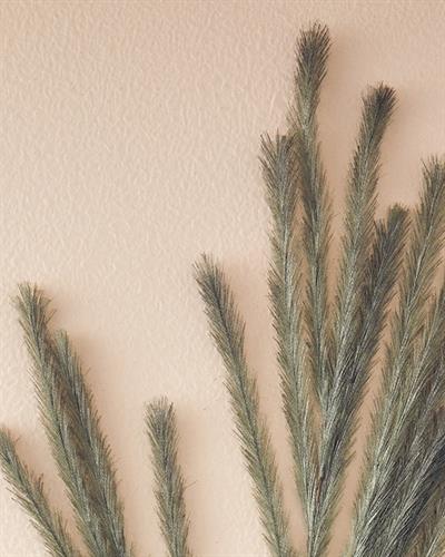 Grassy Изкуствено Цвете Един Стрък 120 см Тъмнозелен