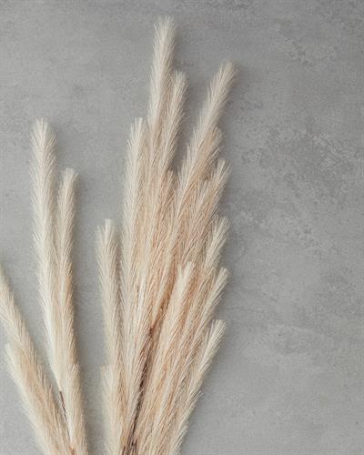 Grassy Една Клонка Изкуствено Цвете Бежово, 120 Cm