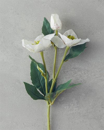 Helleborus Изкуствено Цвете Един Стрък 40 см Бял