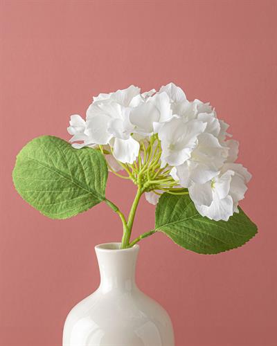 Hortensia Изкуствено Цвете Един Стрък 35 см Бял