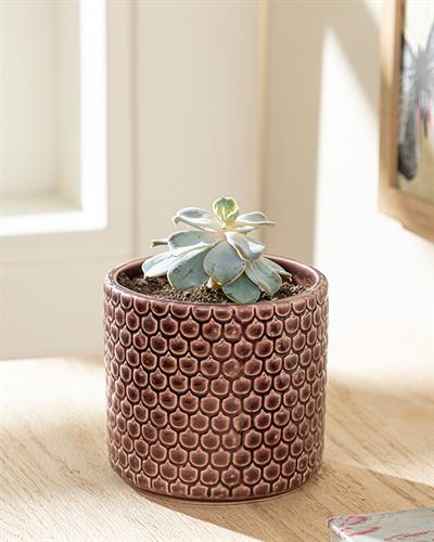 Jacey Flowerpot 12x12x11 cm Claret Red