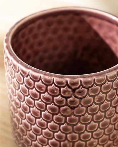 Jacey Саксия Бордо Червено, 12 X 12 X 11 Cm