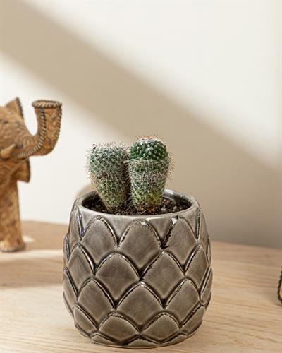 Jesse Саксия Кафяво, 10,3 X 10,3 X 9 Cm