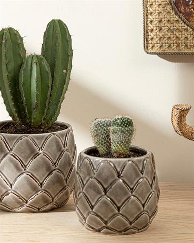 Jesse Саксия 10,3x10,3x9,1 Кафяв