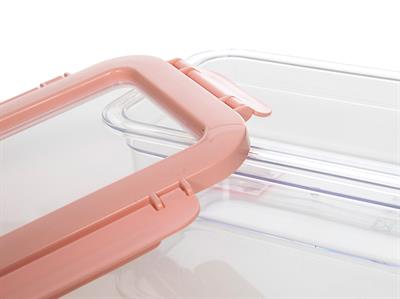 Jonah КУТИЯ ЗА СЪХРАНЕНИЕ Единичен Пластмасов 0,6 L Pink