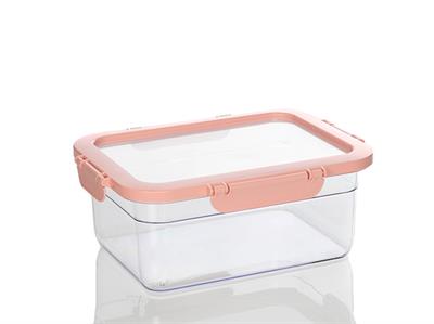 Jonah КУТИЯ ЗА СЪХРАНЕНИЕ Единичен Пластмасов 1 Litre Pink