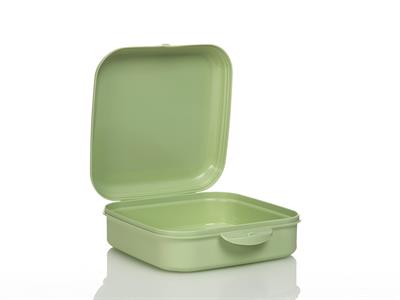 Lava КУТИЯ ЗА СЪХРАНЕНИЕ Единичен Пластмасов 550 ml Green