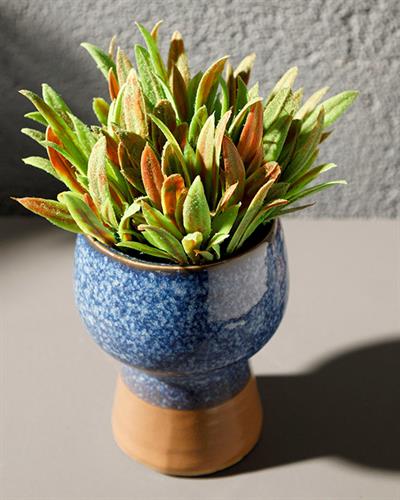 Lavender Leaves Изкуствено Цвете С Ваза Керамика 13x13x18 см Син - Зелен