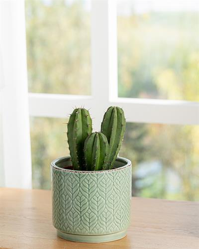 Leafy Саксия 10.2x10.2x9.3 см Зелен