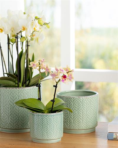 Leafy Саксия 16.4x16.4x14.7 см Зелен