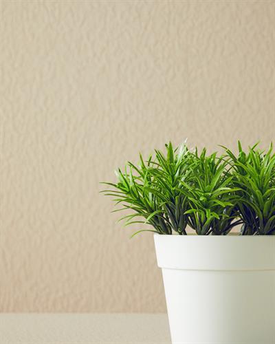 Leaves Изкуствено Цвете С Ваза 13x13x13 см Бял