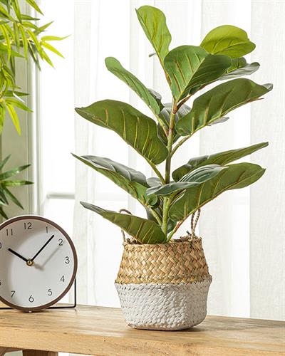 Leaves Изкуствено Цвете Във Ваза Зелено, 52 Cm