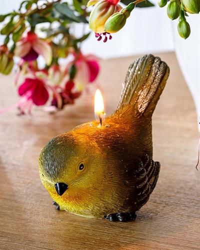 Görsel