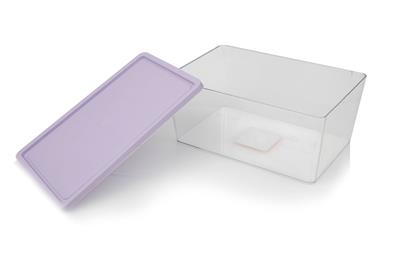Luxury КУТИЯ ЗА СЪХРАНЕНИЕ Голяма Пластмасов Purple.