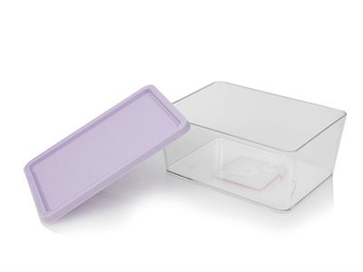 Luxury КУТИЯ ЗА СЪХРАНЕНИЕ Малка Пластмасов Purple.