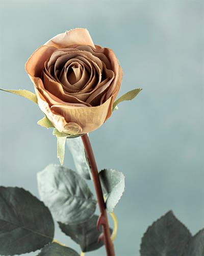 Majestic Rose Една Клонка Изкуствено Цвете Кремово, 60 Cm