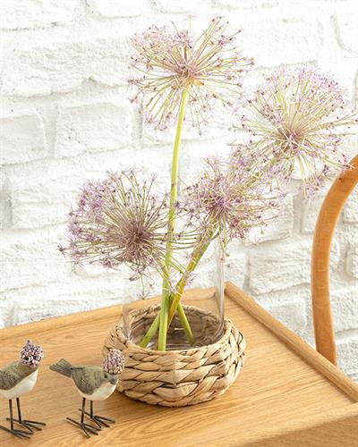 Marva Ваза Стъкло, Прозрачен, 19 X 19 X 24 Cm