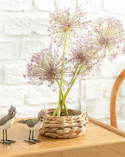 Marva Ваза Стъкло, Прозрачен, 19 X 19 X 24 Cm