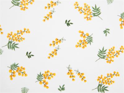 Mimosa ДЪСКА ЗА РЯЗАНЕ Малка Меламин 26x16 cm Beige