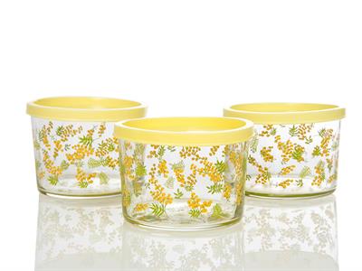 Mimosa КУТИЯ ЗА СЪХРАНЕНИЕ 3 бр. Cam 220 ml Yellow.