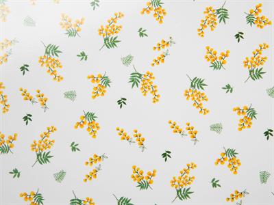 Mimosa ДЪСКА ЗА РЯЗАНЕ Голяма Меламин 35x25 cm Beige