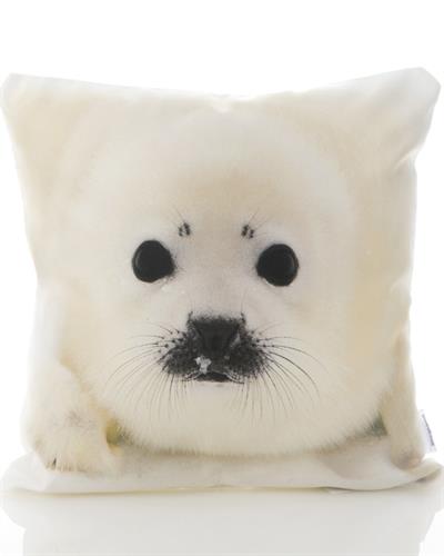 Görsel
