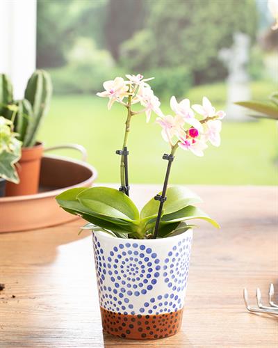 Mysterious Circle Саксия Синьо, 10.7 X 10.7 X 10.8 Cm