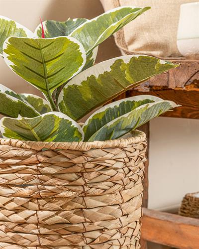 Natural Shape Саксия 21x21x38 см Кафяв