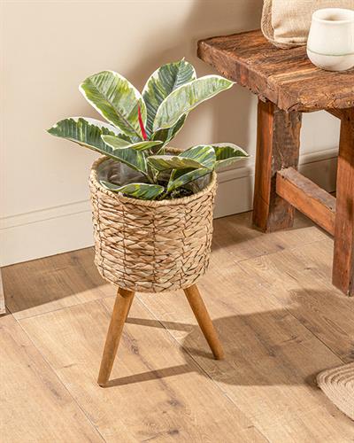 Natural Shape Саксия 21x21x38 см Кафяв