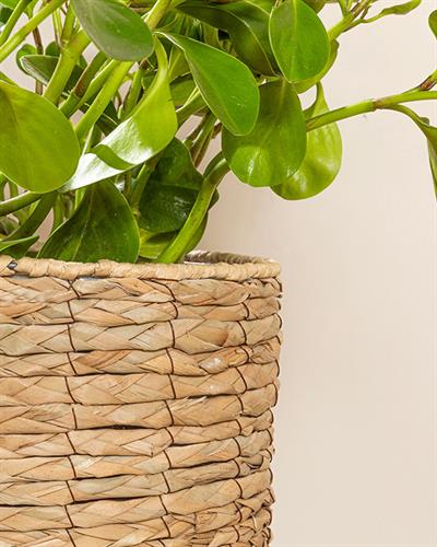 Natural Shape Саксия 27x27x46 см Кафяв