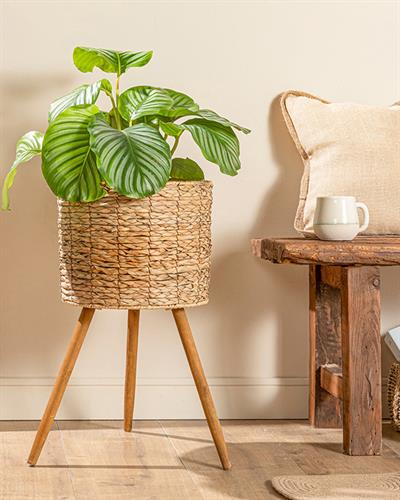 Natural Shape Саксия 33x33x60 см Кафяв