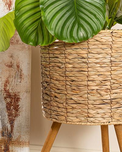 Natural Shape Саксия 33x33x60 см Кафяв