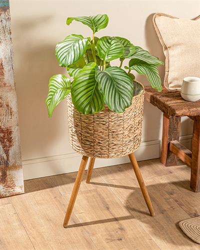 Natural Shape Саксия 33x33x60 см Кафяв