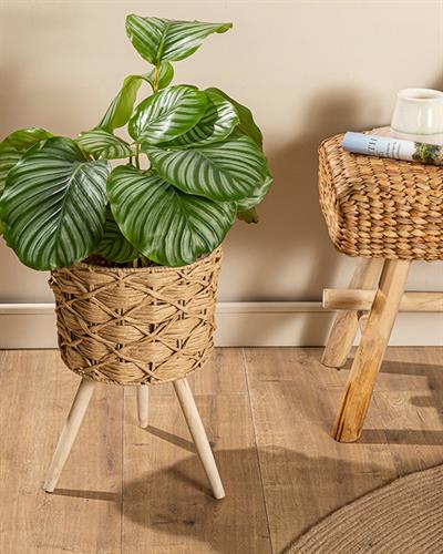 Nature Саксия 27x27x46 см Кафяв