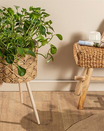 Nature Саксия Кафяво, 33 X 33 X 60 Cm