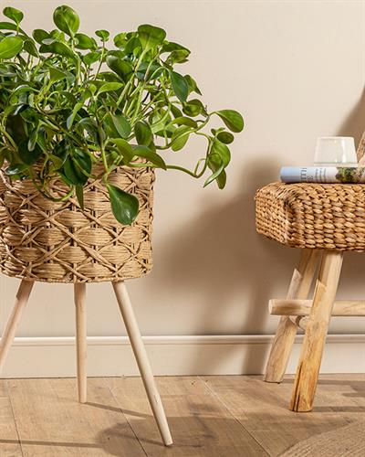 Nature Саксия Кафяво, 33 X 33 X 60 Cm