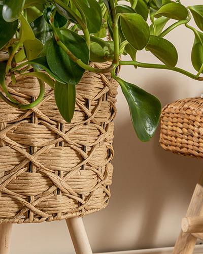 Nature Саксия Кафяво, 33 X 33 X 60 Cm