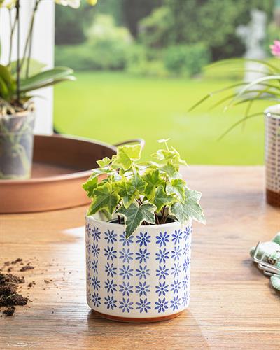 Ocean Blue Саксия 11.6x11.6x11 см Син