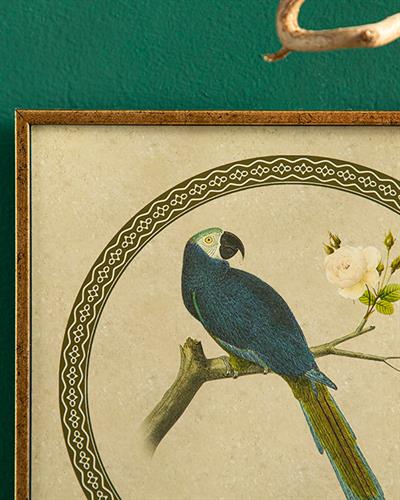 Parrot Картина 20x20 см Син